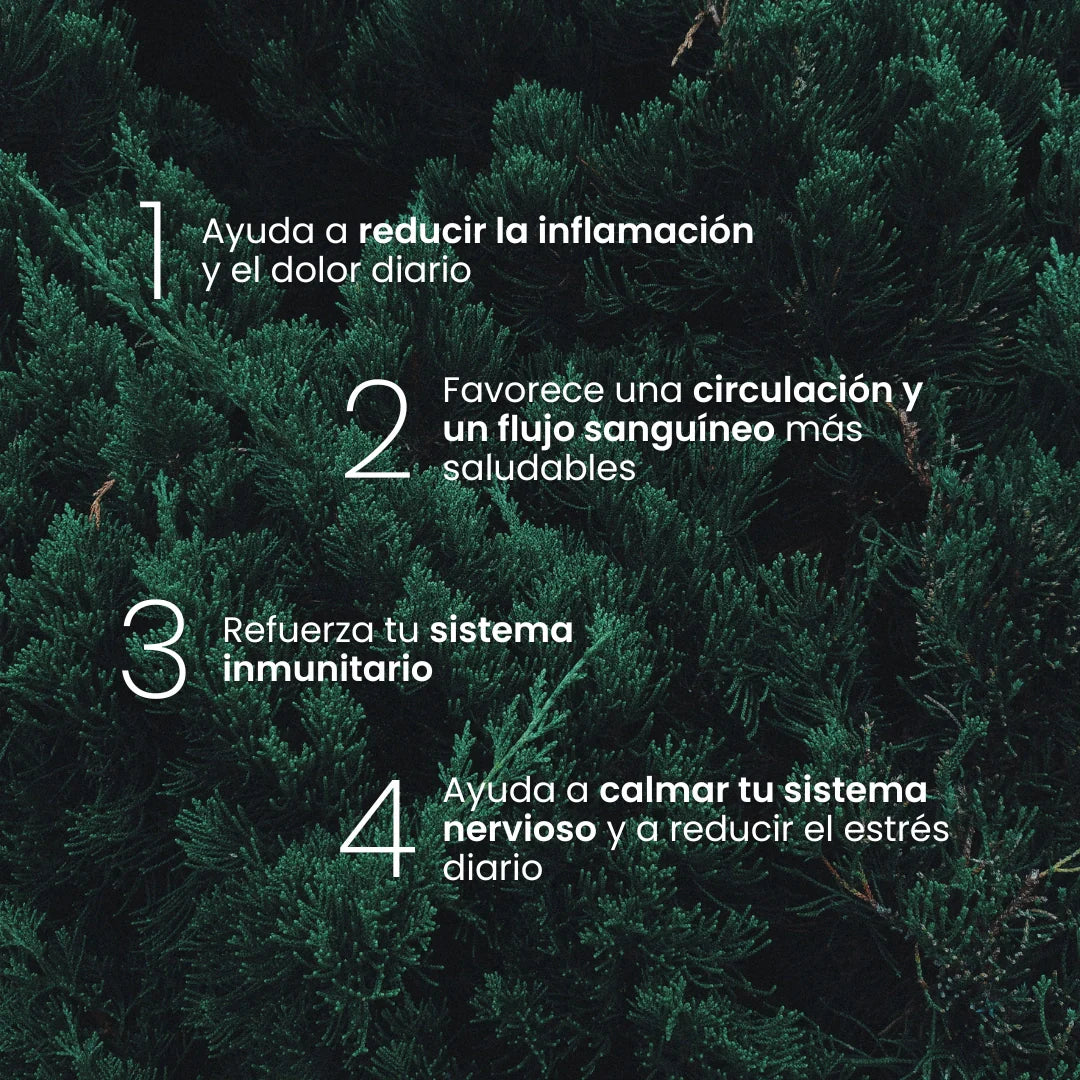 Gudslip® Pack Grounding PRO